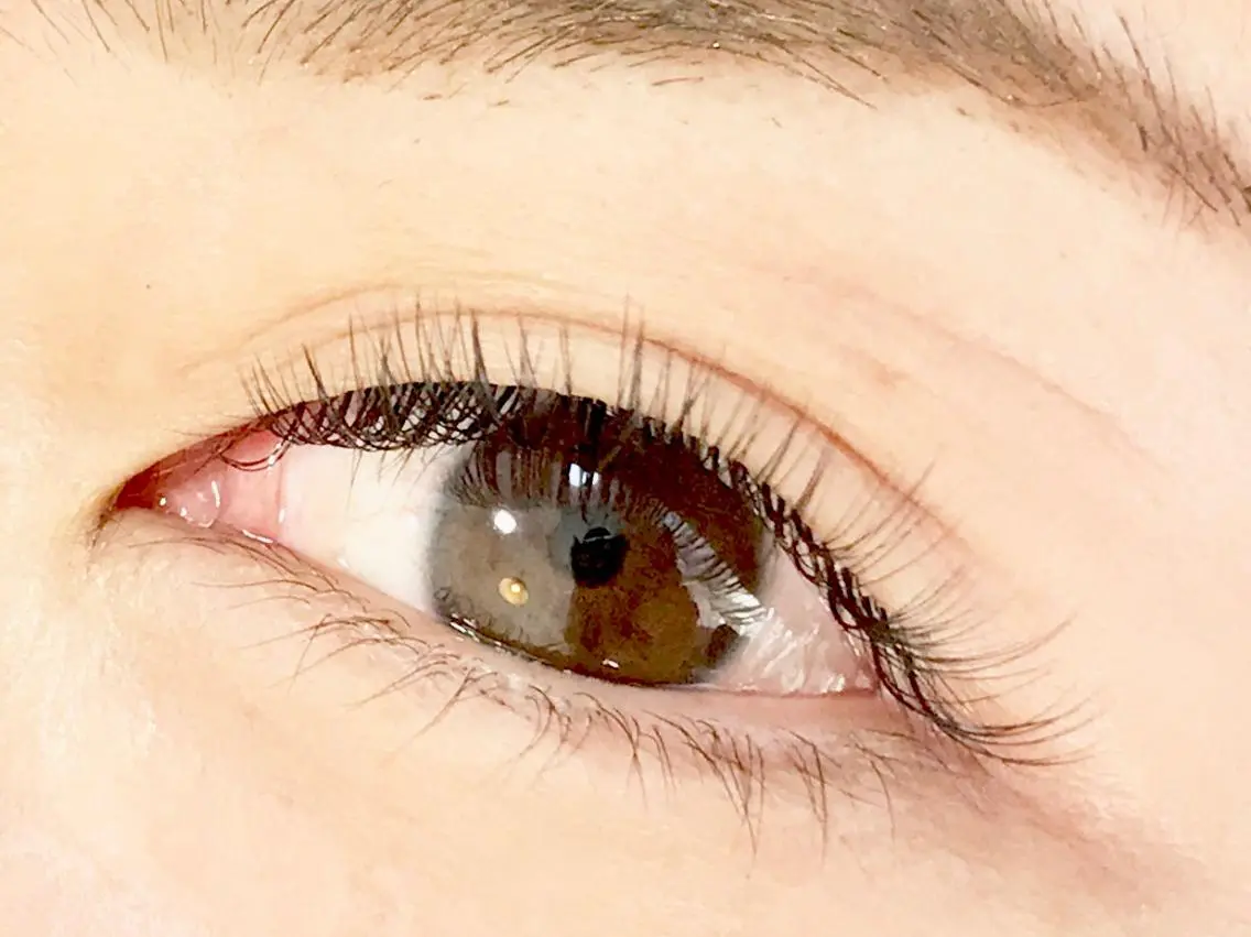 マツエク・マツパ LATTE eyelashのマツエク・マツパデザイン
