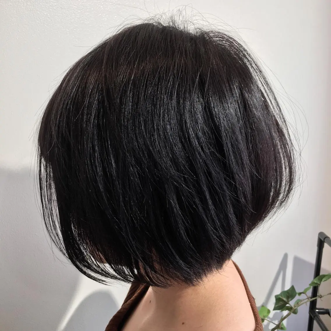 ショート カラー 橋本 慶司のヘアスタイル