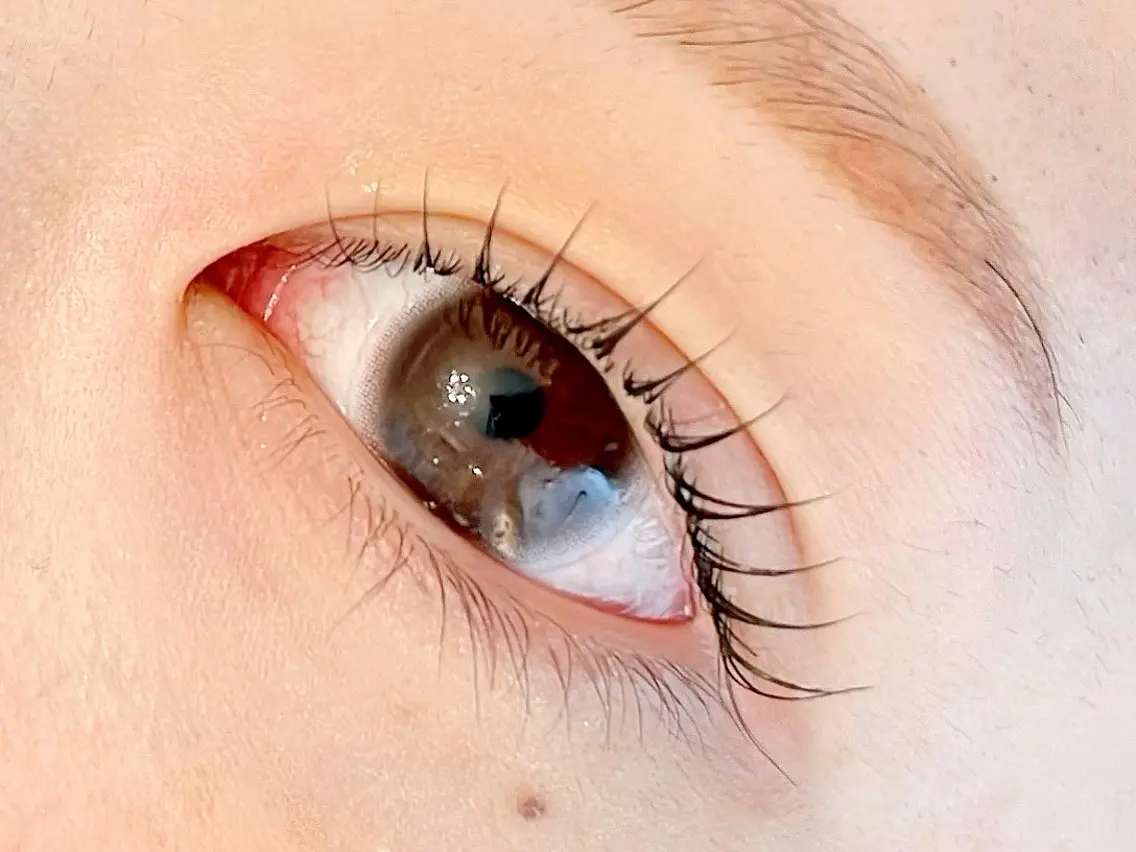 マツエク・マツパ 一重×まつ毛パーマ LELEGANCE eyelashの眉毛・アイブロウイメージ