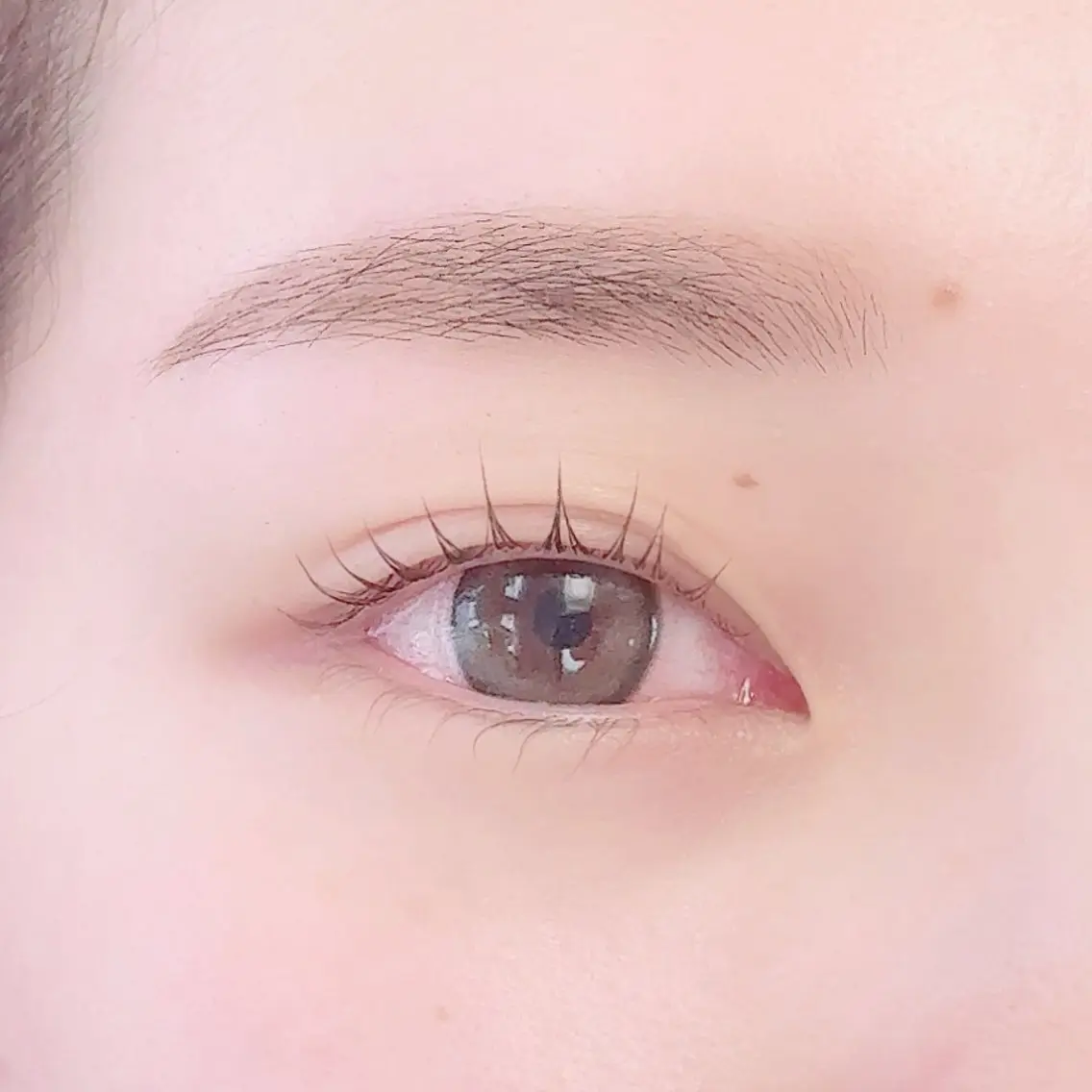 《再来様限定》垢抜けset🌻上まつげパーマ+スタイリング美眉WAX(間引き、メイク込み)¥8500の写真