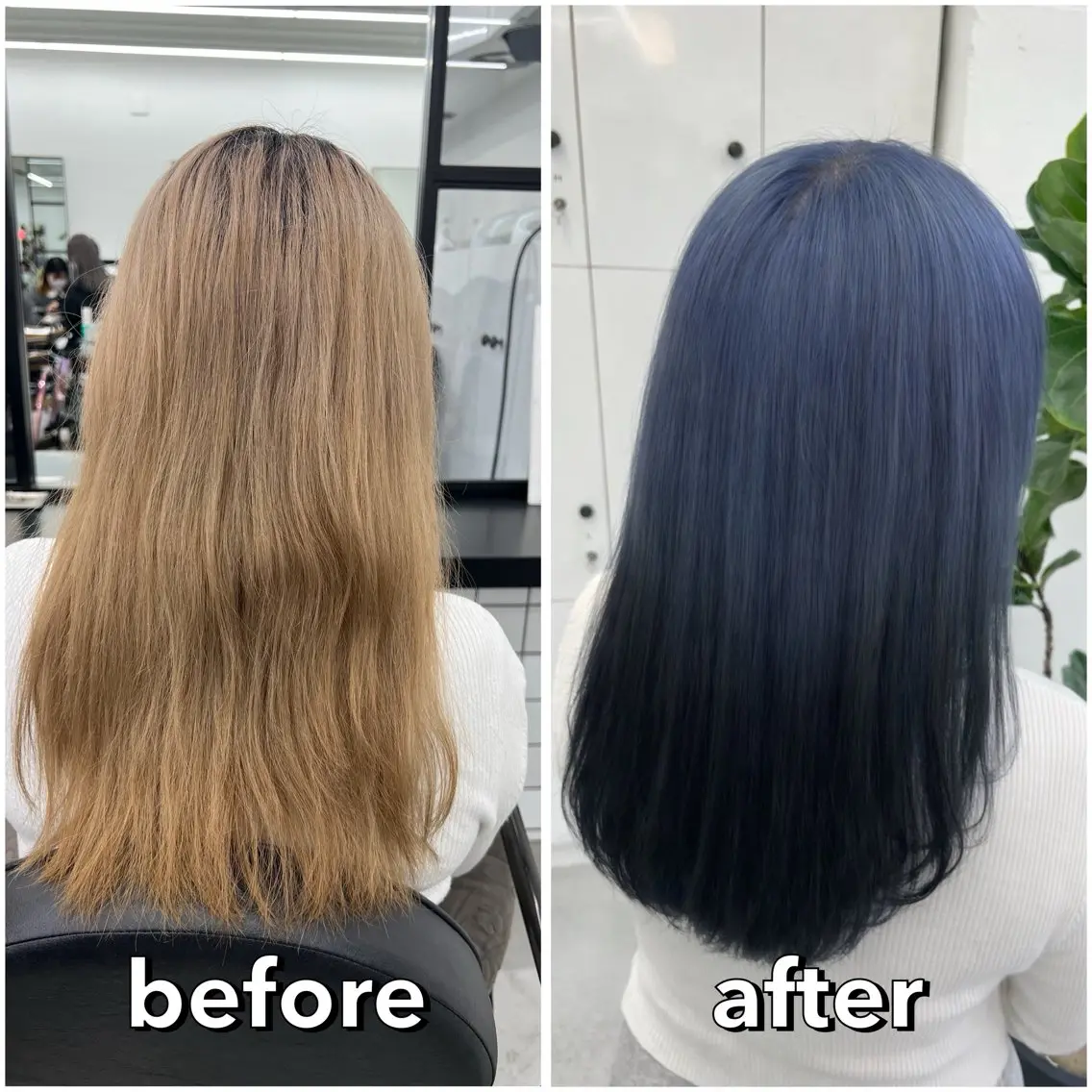 セミロング カラー ブルーカラー 透明感カラー デザインカラー ネイビーカラー 🌷︎あすか🌷 JILLSTUDIOのヘアスタイル