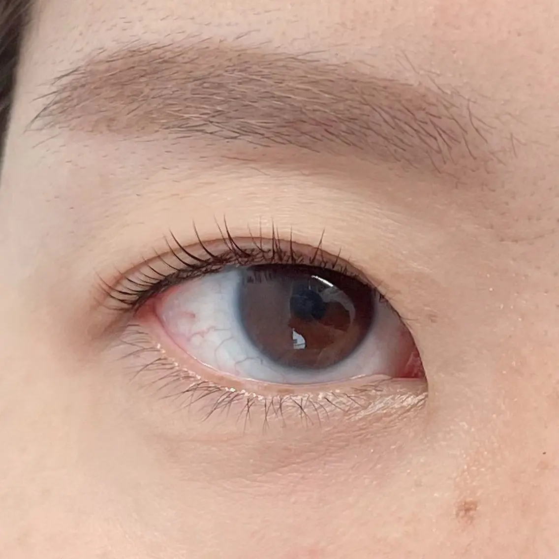 マツエク・マツパ eyelash___ hashimotoのマツエク・マツパデザイン
