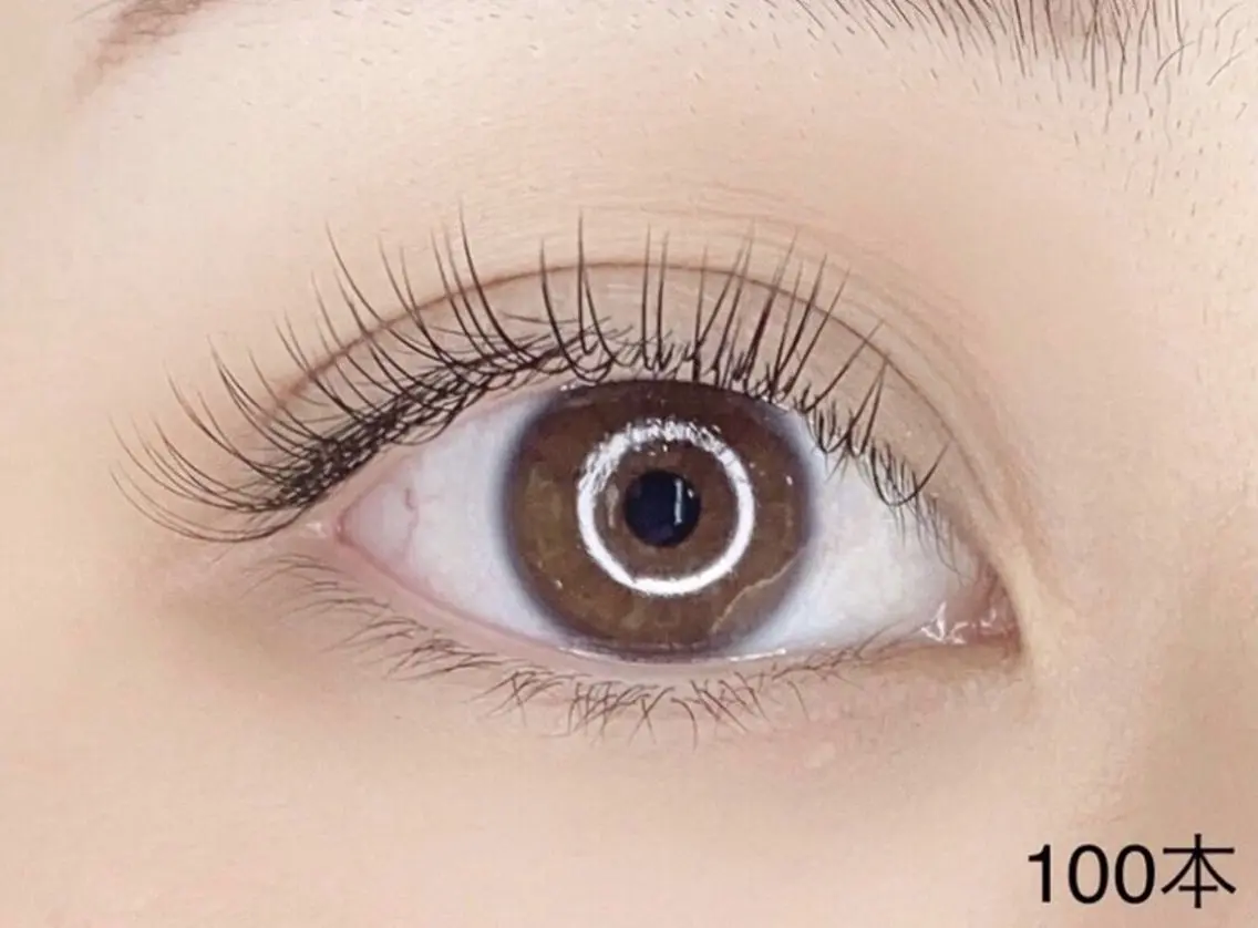 平日限定【新規100本オフ無料】セーブル/フラットラッシュ¥4400の写真