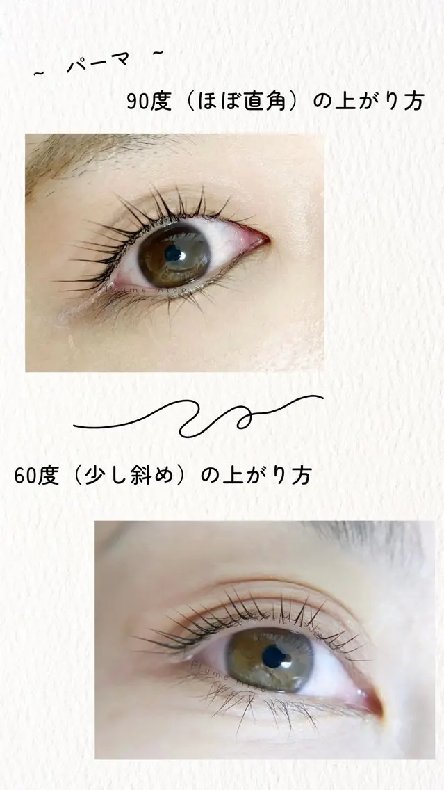 マツエク・マツパ マツパ Plume micoのマツエク・マツパデザイン