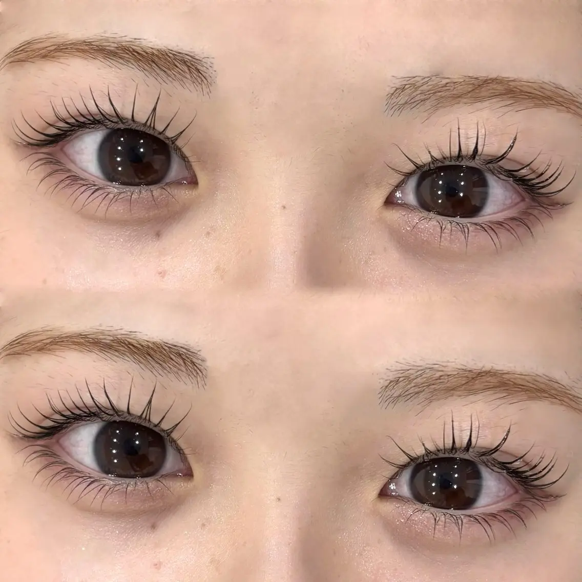 マツエク・マツパ 下まつげエクステ 一重×まつ毛パーマ マツパ eyelash mimi🩶のマツエク・マツパデザイン