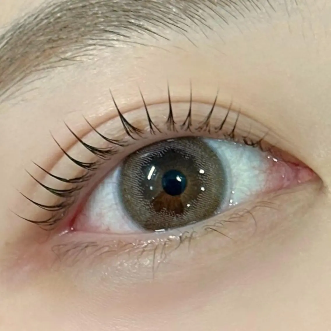 【 ミニモ限定💎 】まつげパーマ コーティング付きの写真