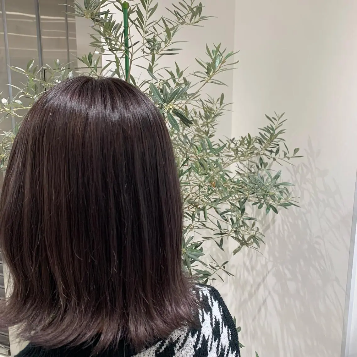 🌙カット＋カラー＋プレトリートメント🌙の写真