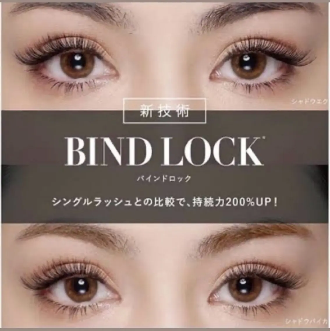 【持続力3倍&ボリュームＵP】バインドロック130束（オフ別途¥500）の写真