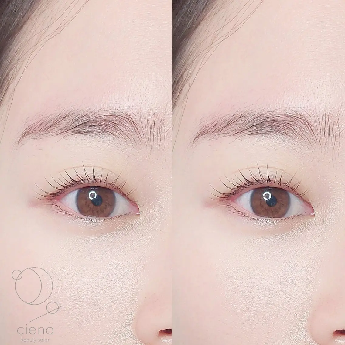 マツエク・マツパ マツパ ciena MEEの眉毛・アイブロウイメージ