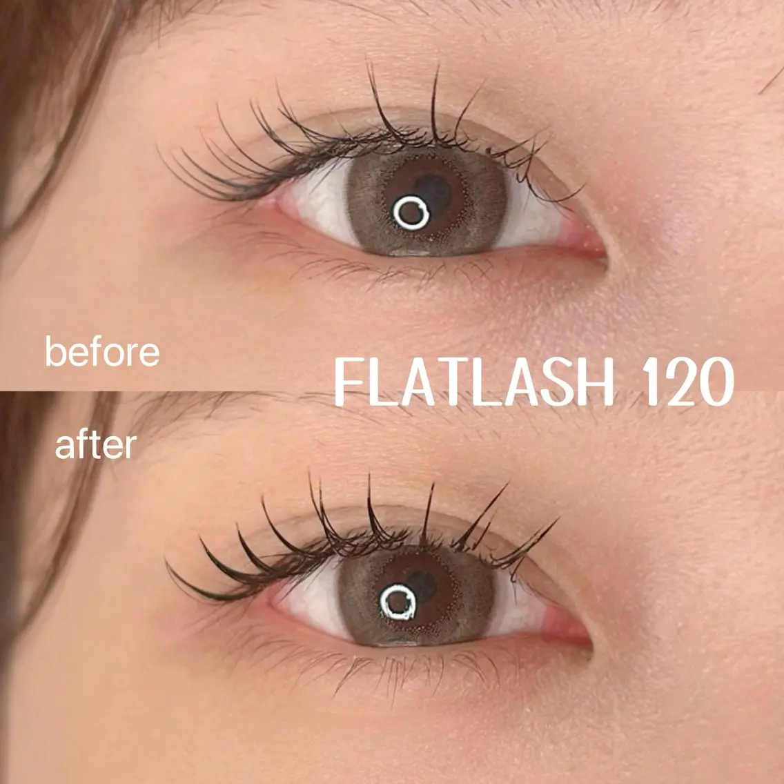 マツエク・マツパ マツエク elua eyelashの眉毛・アイブロウイメージ