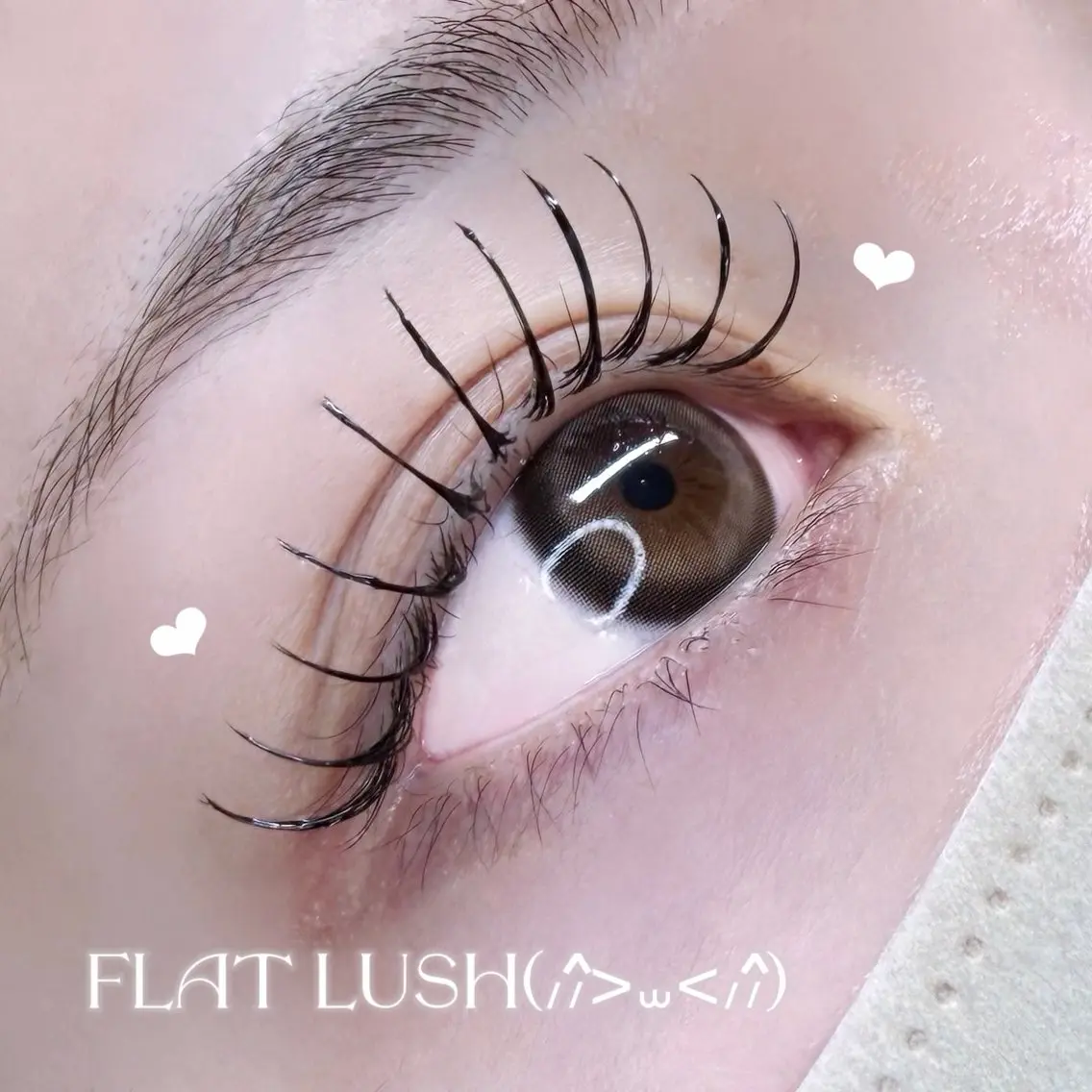 フラットラッシュ80本の写真