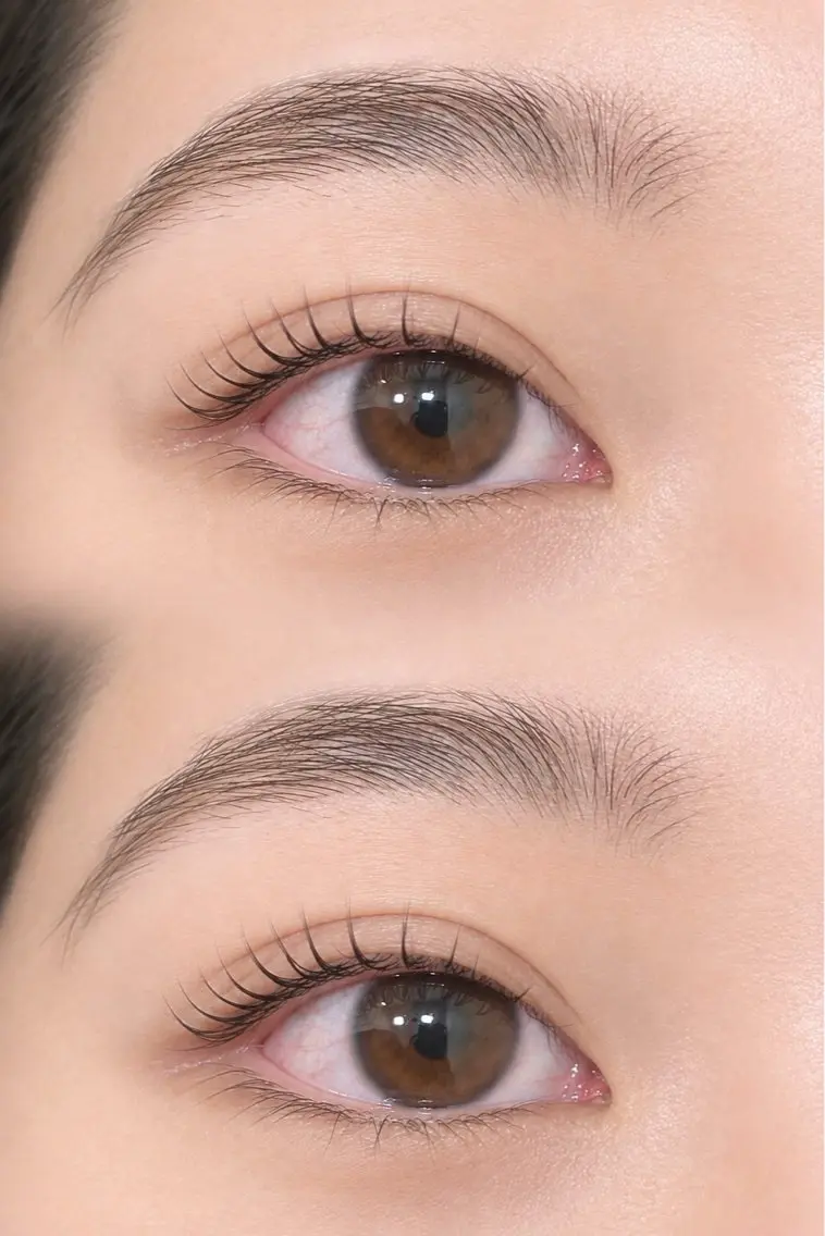 🧸ラッシュリフト上のみ🧸の写真