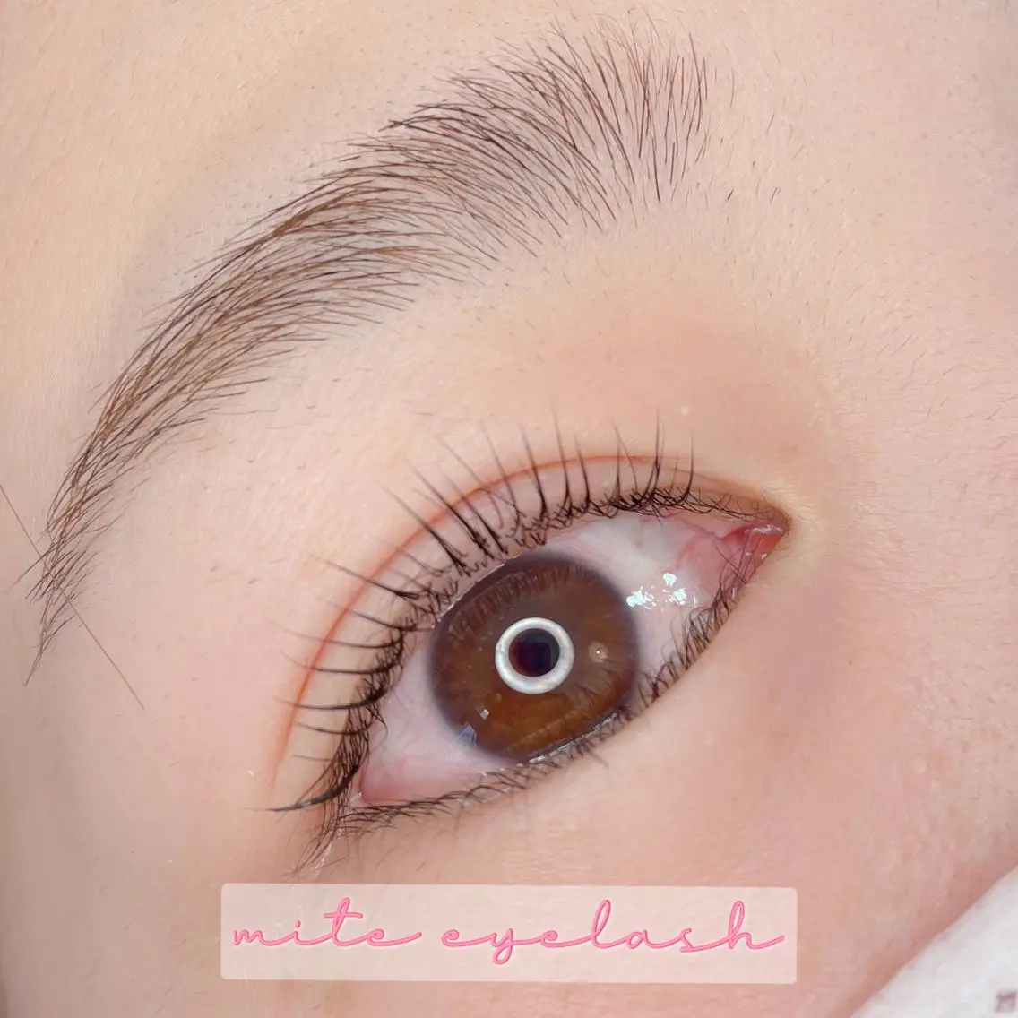 マツエク・マツパ mite eyelashのマツエク・マツパデザイン