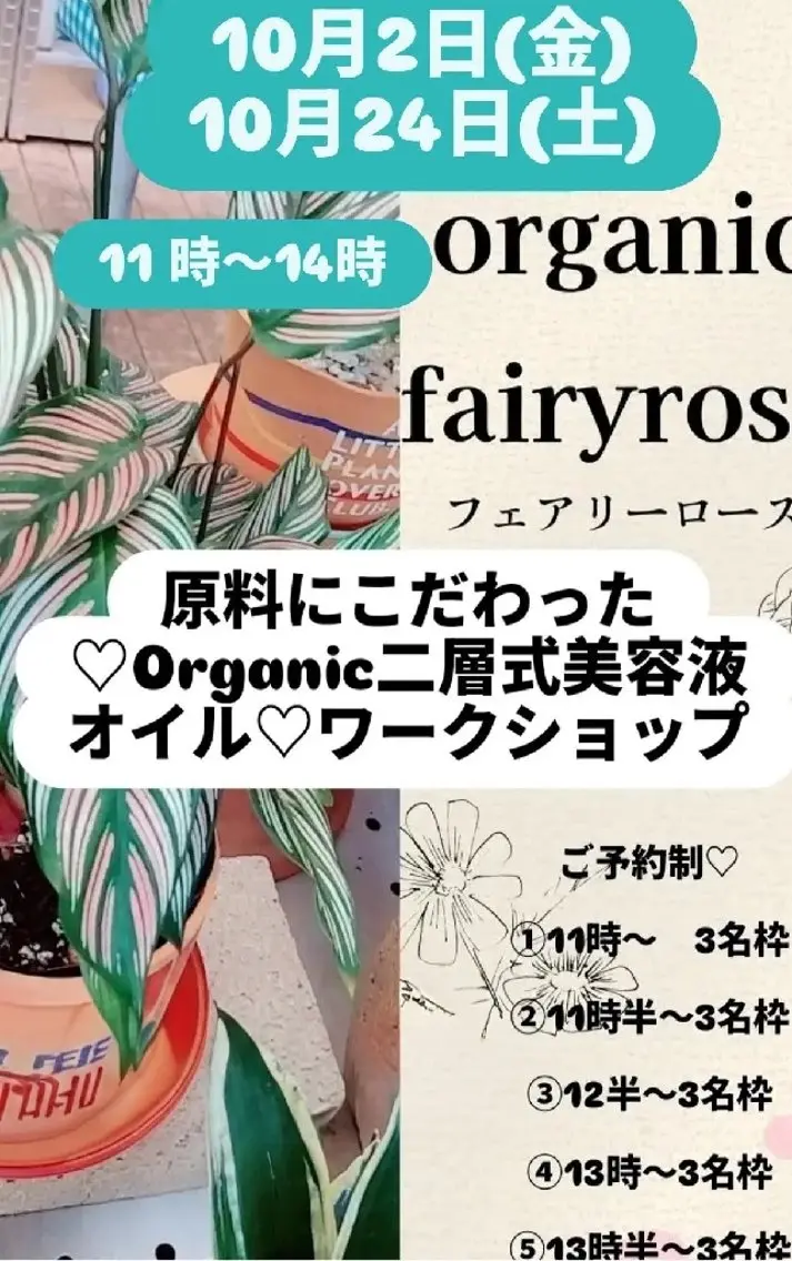 エステ fairyrose organicエステのエステ・リラクイメージ