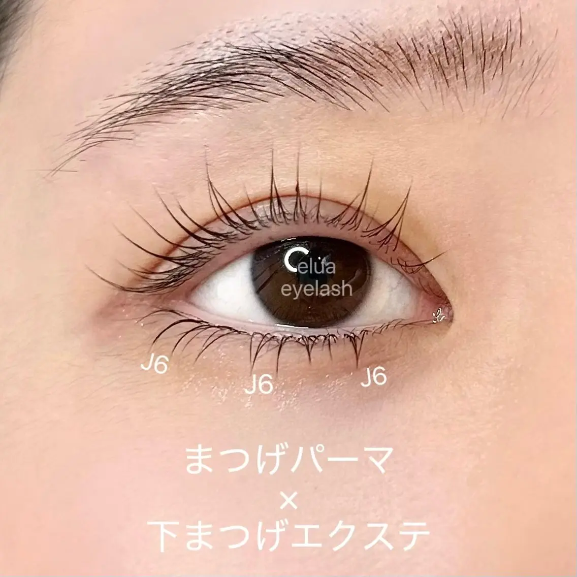 マツエク・マツパ まつげパーマ マツパ elua eyelashの眉毛・アイブロウイメージ