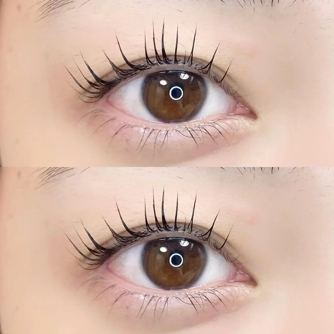 マツエク・マツパ フラットラッシュ パリジェンヌラッシュリフト まつげパーマ ボリュームラッシュ KURUMI🦋 まつエクまつパ美眉のマツエク・マツパデザイン