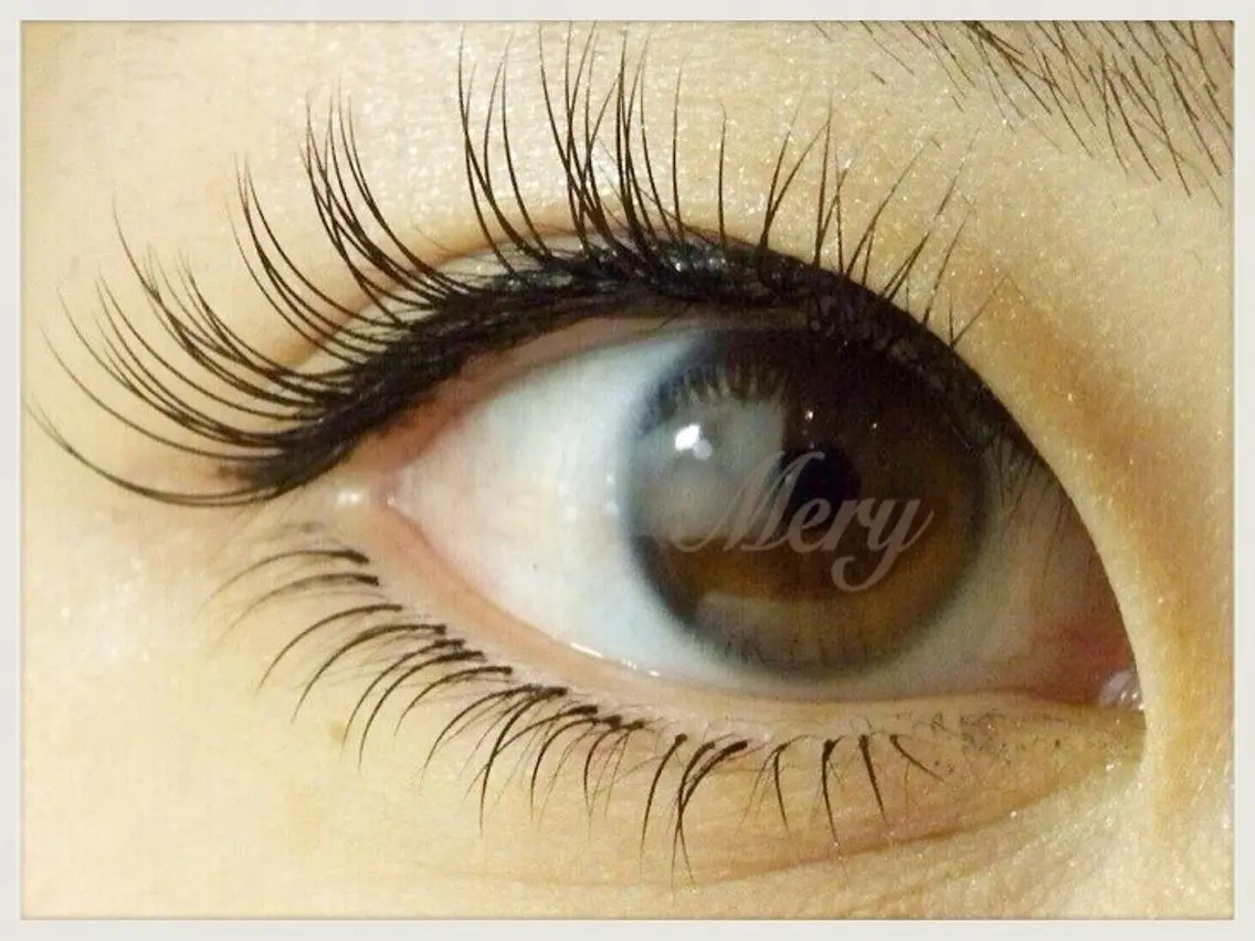 マツエク・マツパ マツエク eyelash Meryのマツエク・マツパデザイン