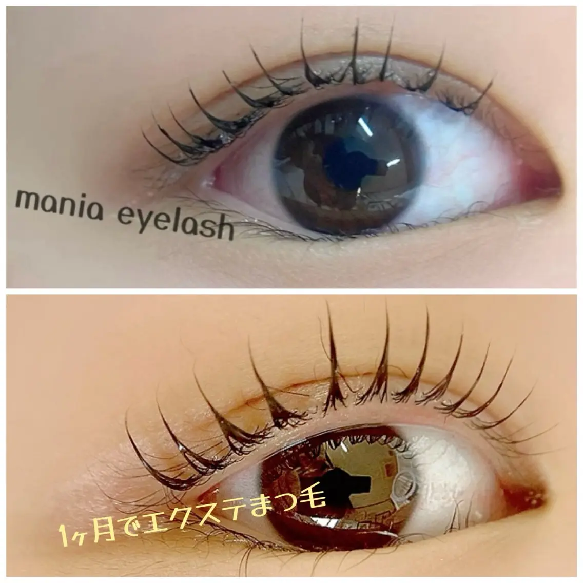 マツエク・マツパ mania eyebrowsのマツエク・マツパデザイン