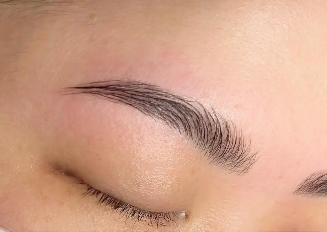 HOLLYWOOD BROW LIFT🌿+美眉stylingの写真