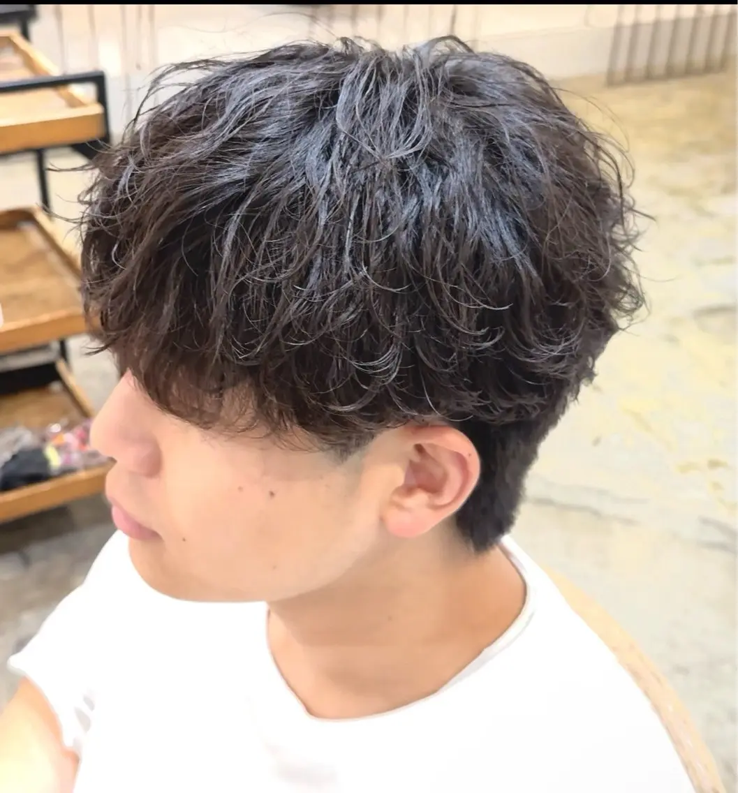 メンズ メンズパーマ特化 三宅陸斗のヘアスタイル