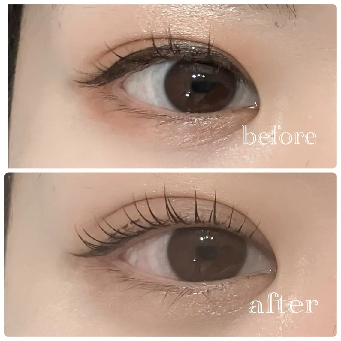 マツエク・マツパ 🌷LOARK eyelash.梶川のマツエク・マツパデザイン