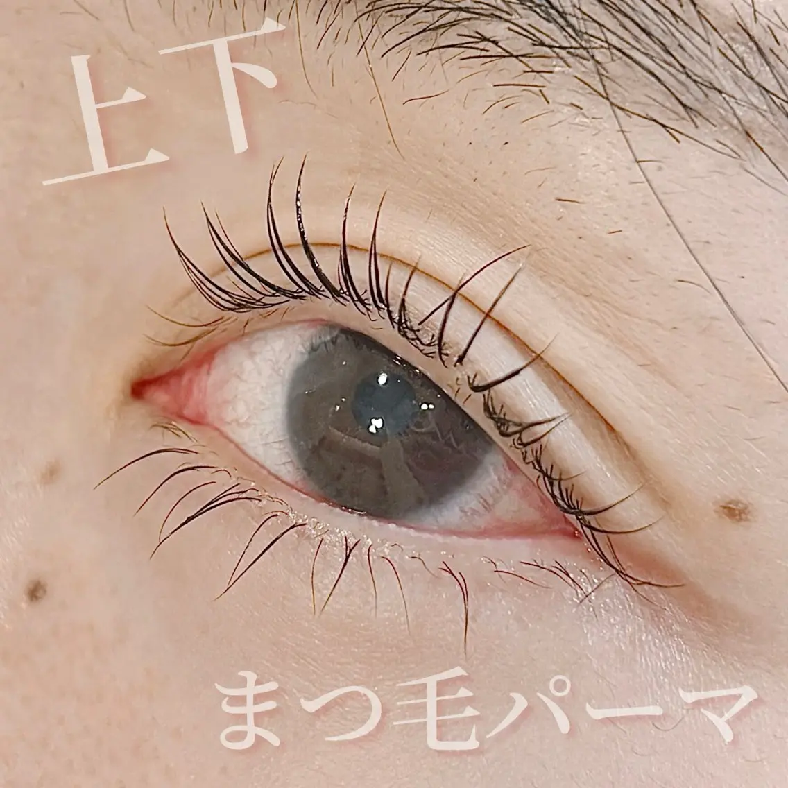 マツエク・マツパ まつげパーマ 下まつげエクステ ✧elpatio✧︎ 小出紗羅のマツエク・マツパデザイン