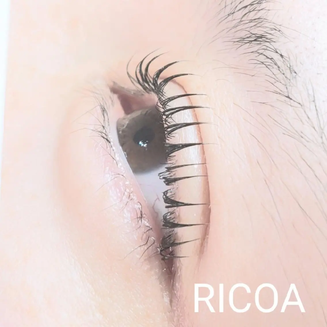 マツエク・マツパ 一重×まつ毛パーマ RICOA 酒井のマツエク・マツパデザイン