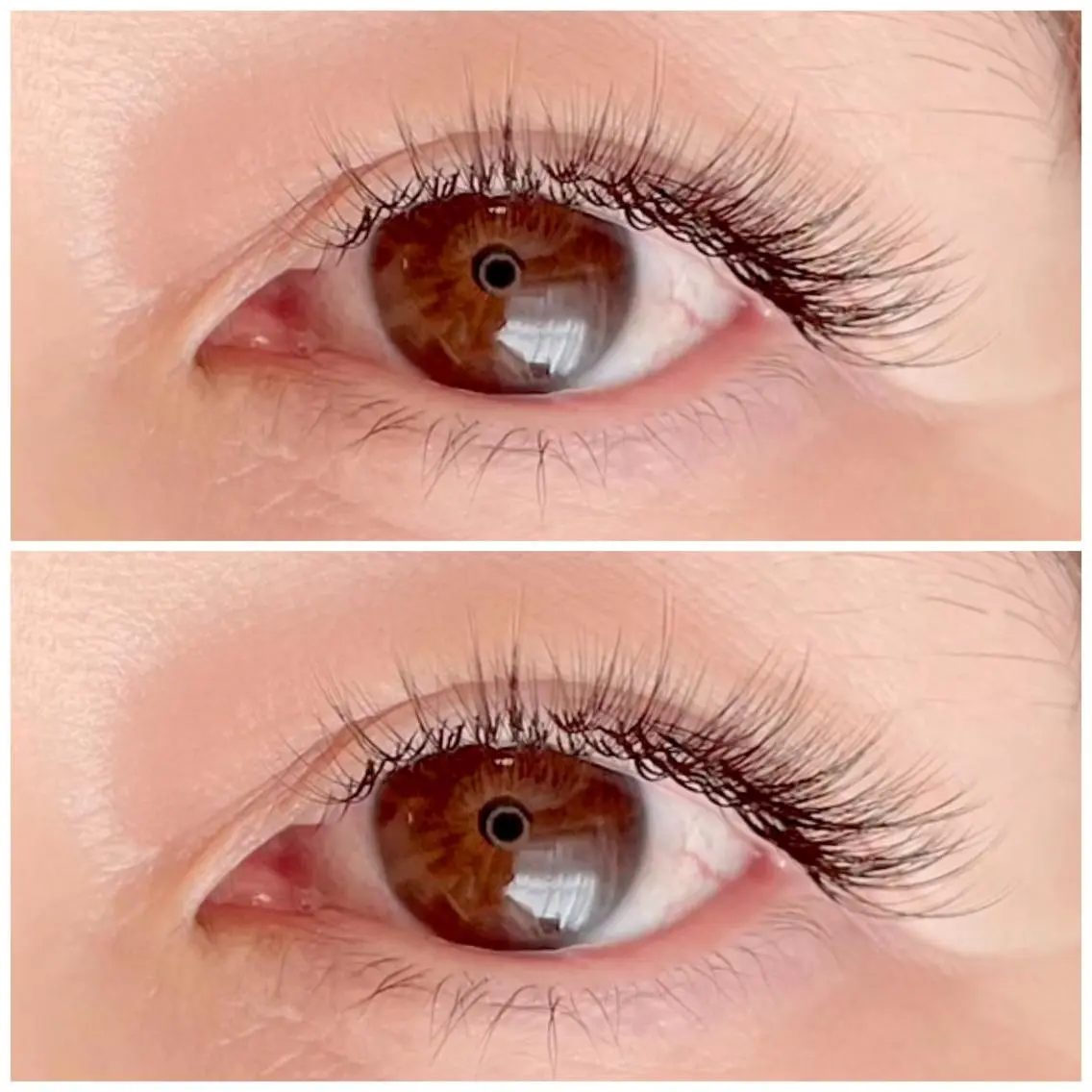 マツエク・マツパ ボリュームラッシュ ワンホンマツエク YUNIKO eyelashのマツエク・マツパデザイン