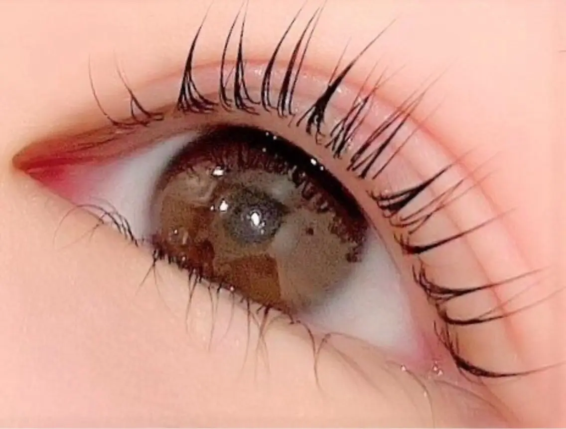まつパの写真