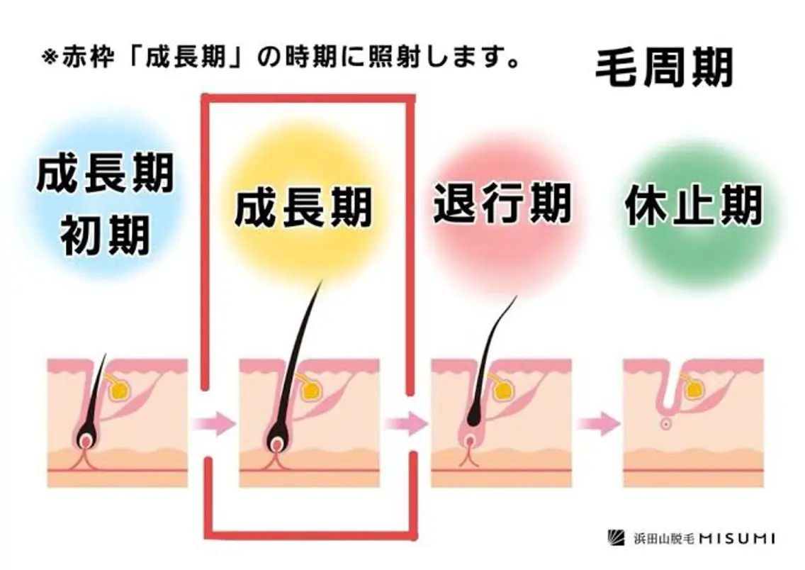 美肌管理専門Wax/ muroのエステ・リラクイメージ