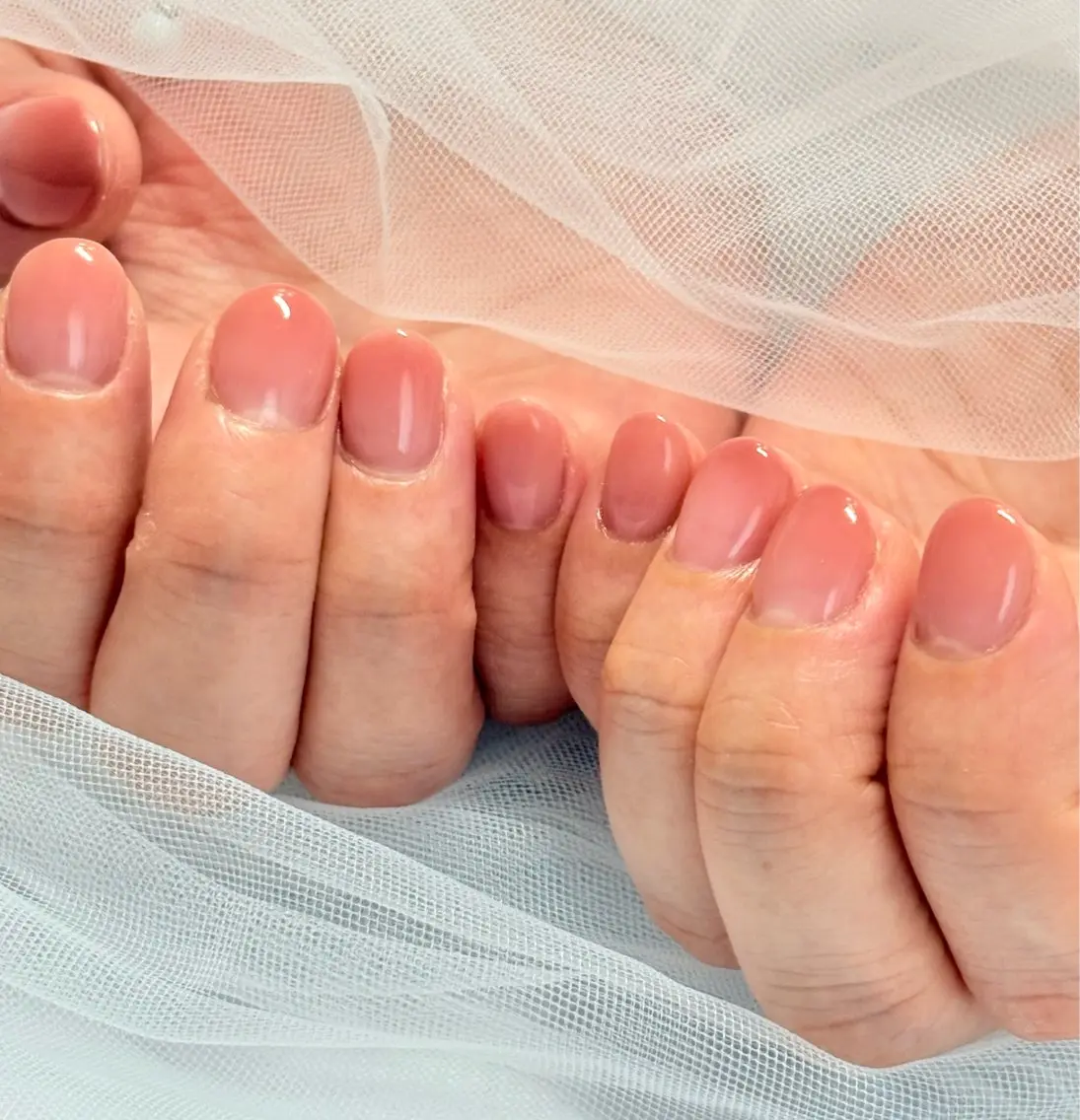【オフなし】グラデーションの写真