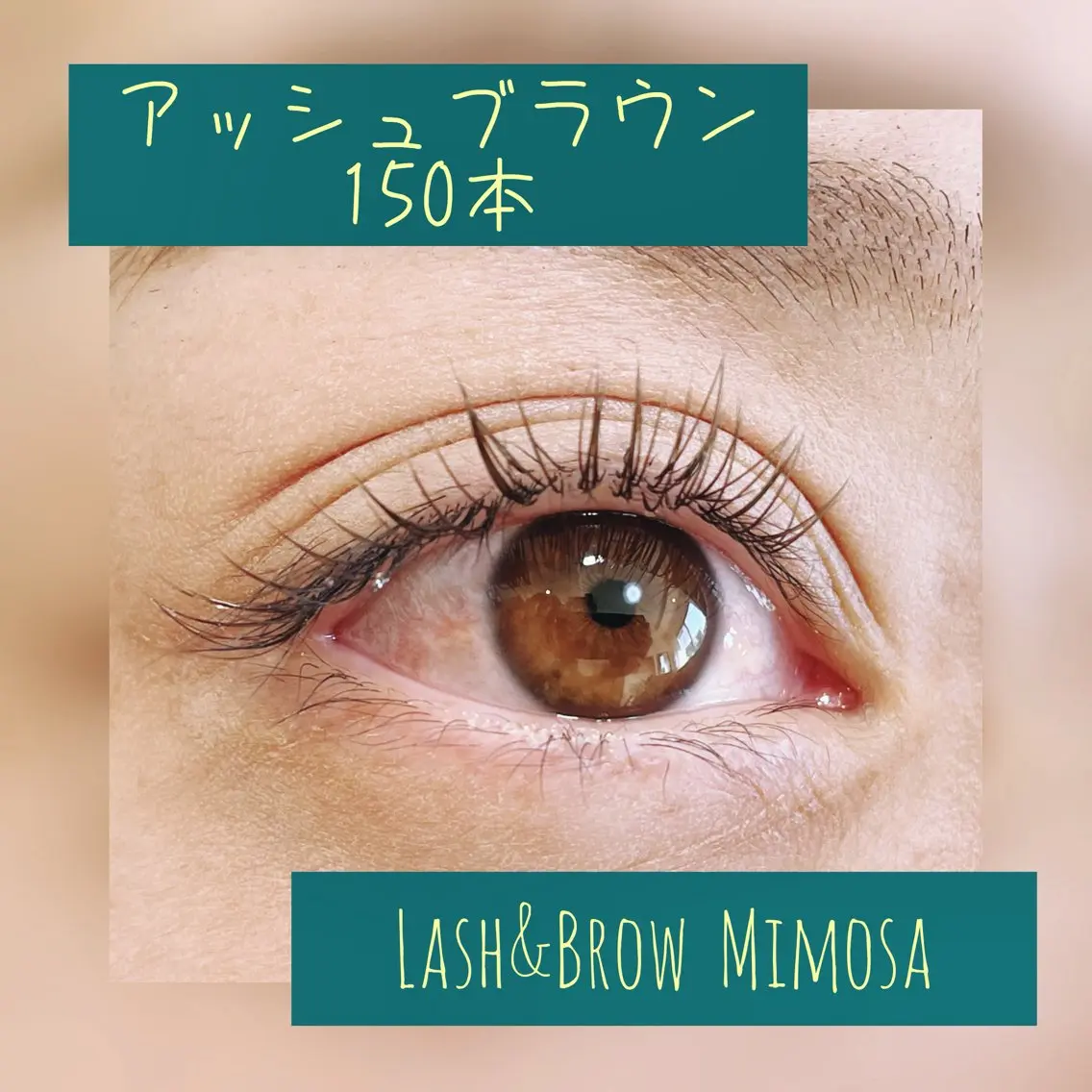 マツエク・マツパ カラーマツエク Lash&Brow Mimosaのマツエク・マツパデザイン