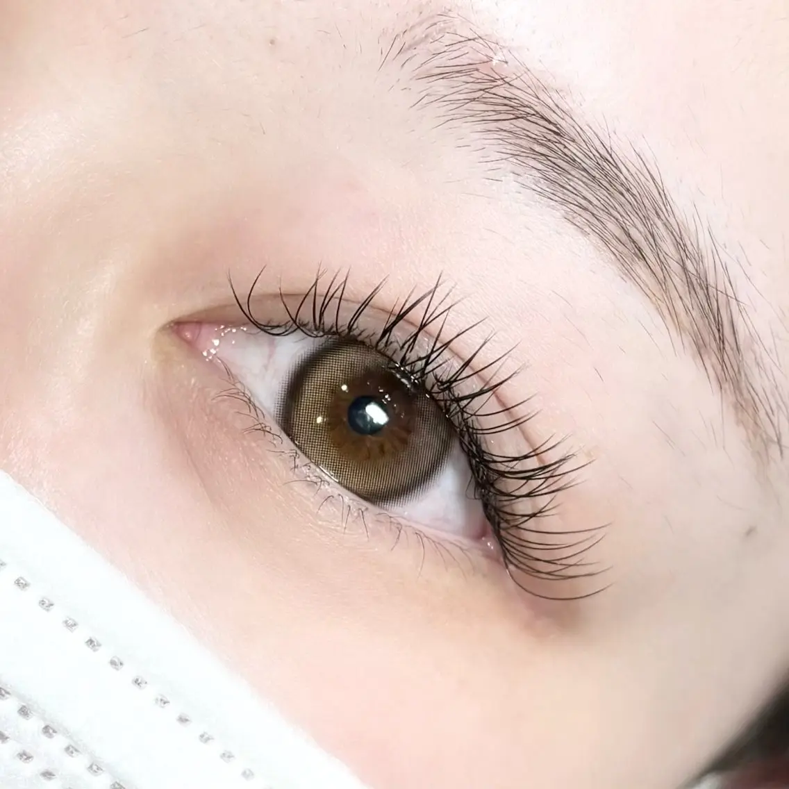 フラットラッシュ100本🌼の写真