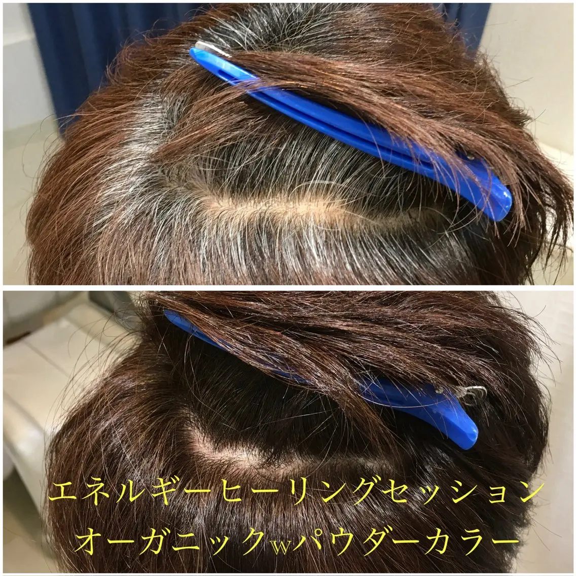 エネルギーヒーリングセッションオーガニックWパウダーカラー白髪染 栗色(ブラウン)※アレルギーで一般カラーができない方への写真