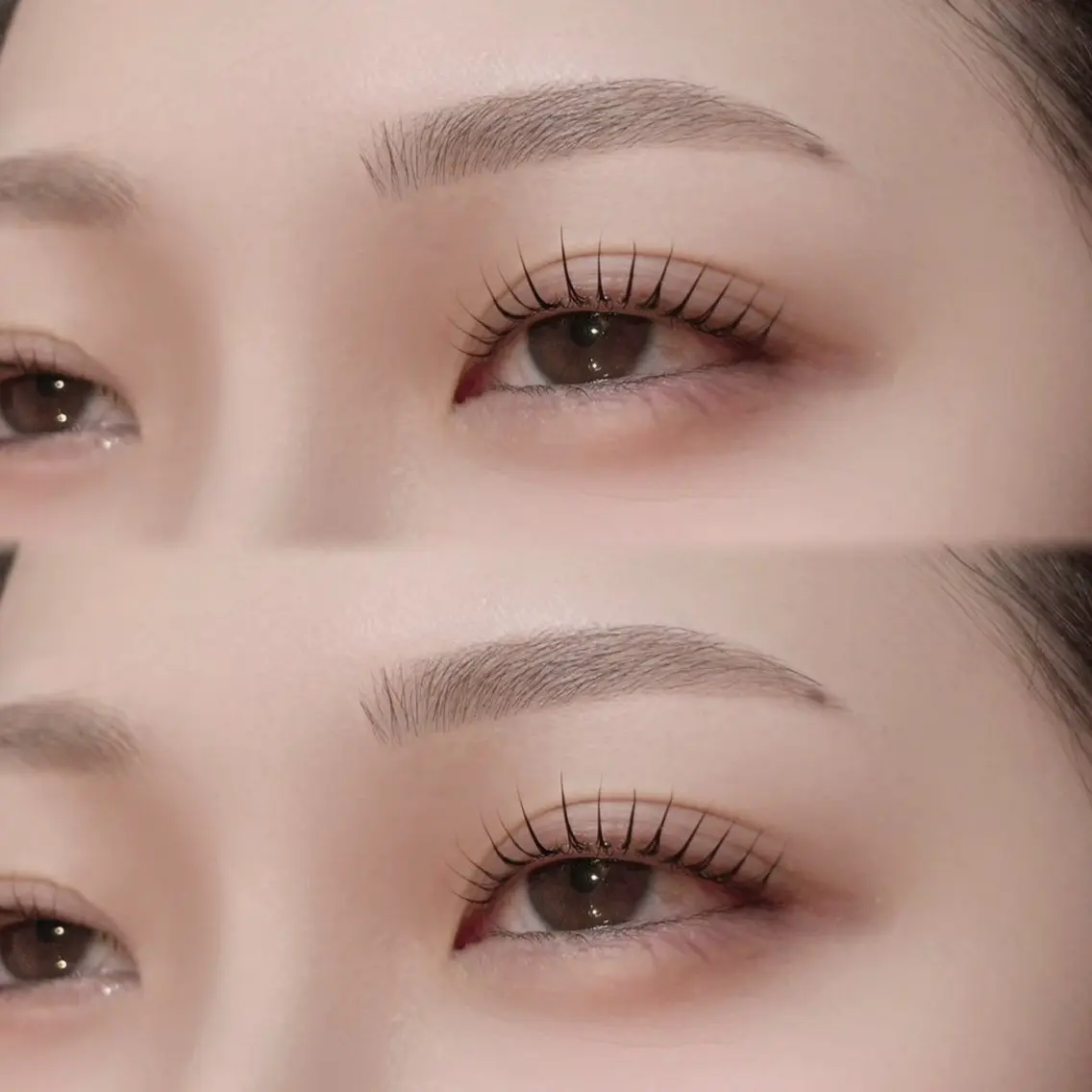 人気No.1⭐️似合わせ眉毛WAX ＋ まつげパーマ【眉毛 / まつ毛パーマ 】の写真