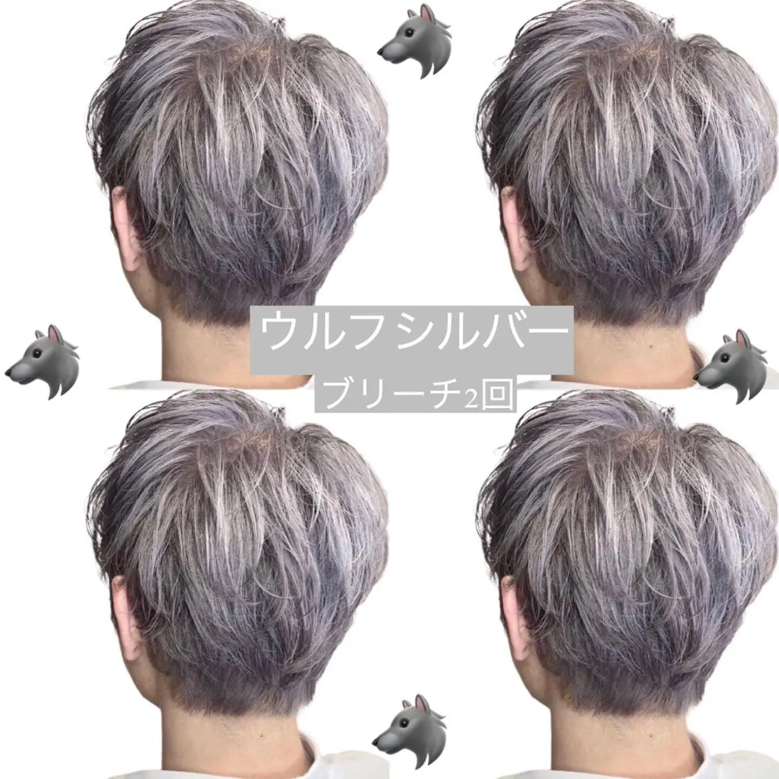 カラー メンズ メンズブリーチ メンズウルフカット ブリーチ ケアブリーチ シルバー 透明感カラー/韓国 ブリーチ/古橋のヘアスタイル