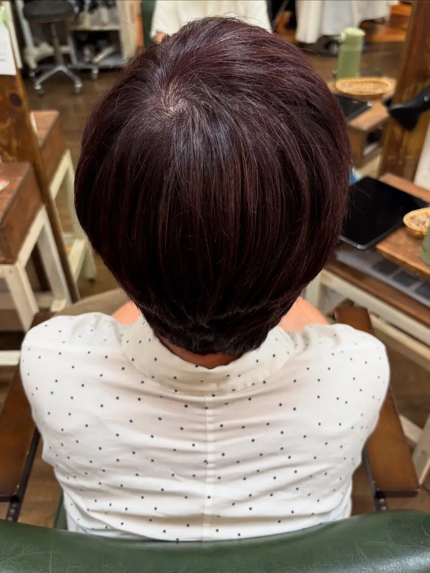 ショート カラー ブラウンカラー ピンクカラー ピンクブラウン 三宅　デザインカラー 透明感カラー✨のヘアスタイル