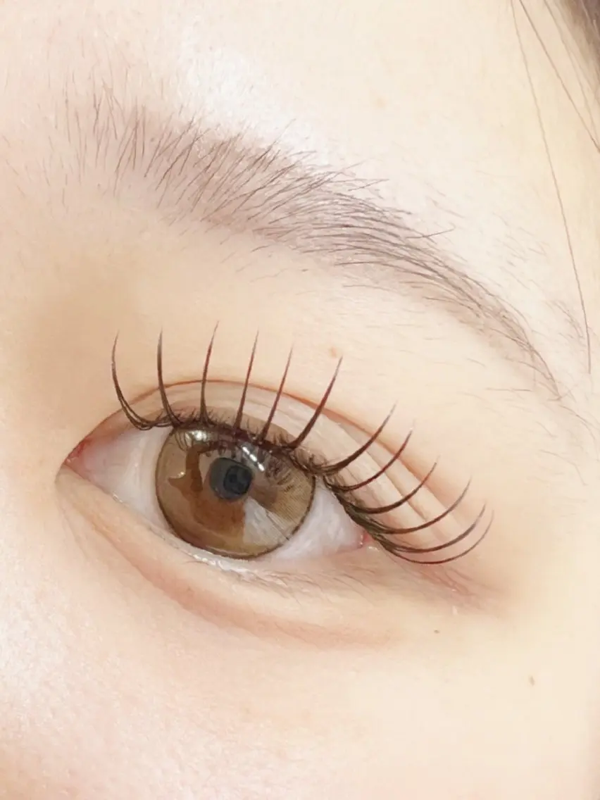 マツエク・マツパ フラットラッシュ Eyelash Hauoliの眉毛・アイブロウイメージ