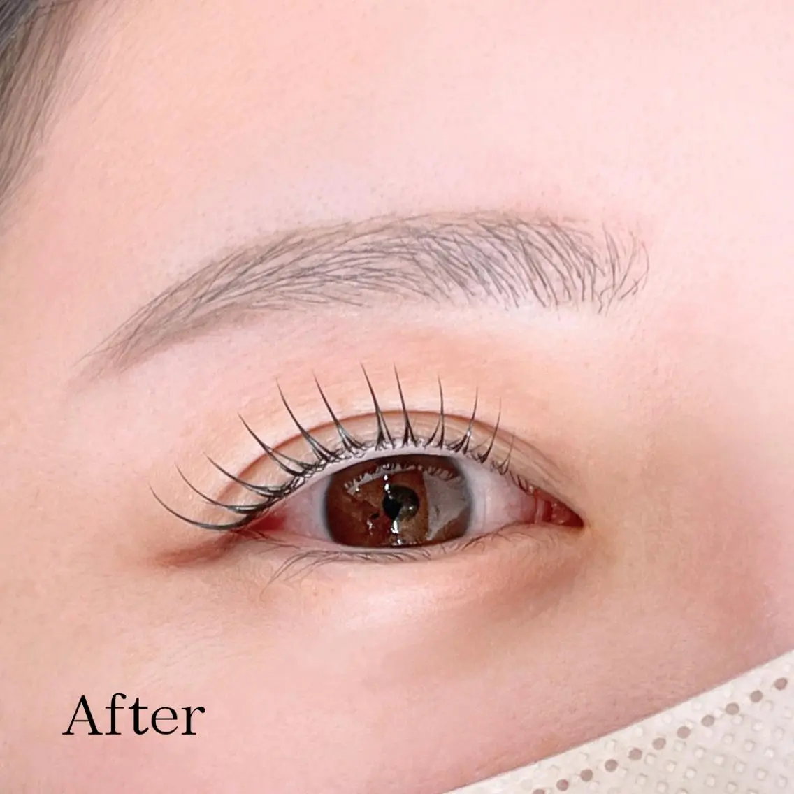 マツエク・マツパ 一重×まつ毛パーマ 骨格似合わせ眉WAX 眉まつ毛専門/石井の眉毛・アイブロウイメージ