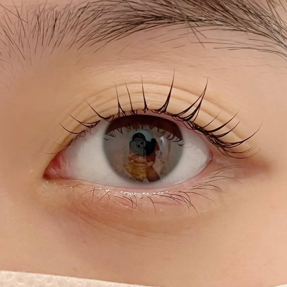 マツエク・マツパ パリジェンヌラッシュリフト まつげパーマ ai一重専門🎀束感 まつげ🫧表参道の眉毛・アイブロウイメージ