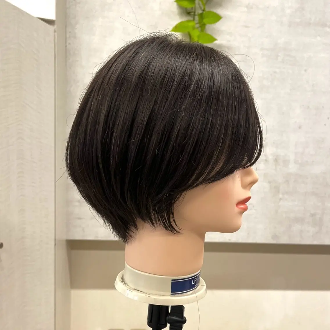 ショート 顔周りカット ショートヘア yura /レイヤーカットのヘアスタイル