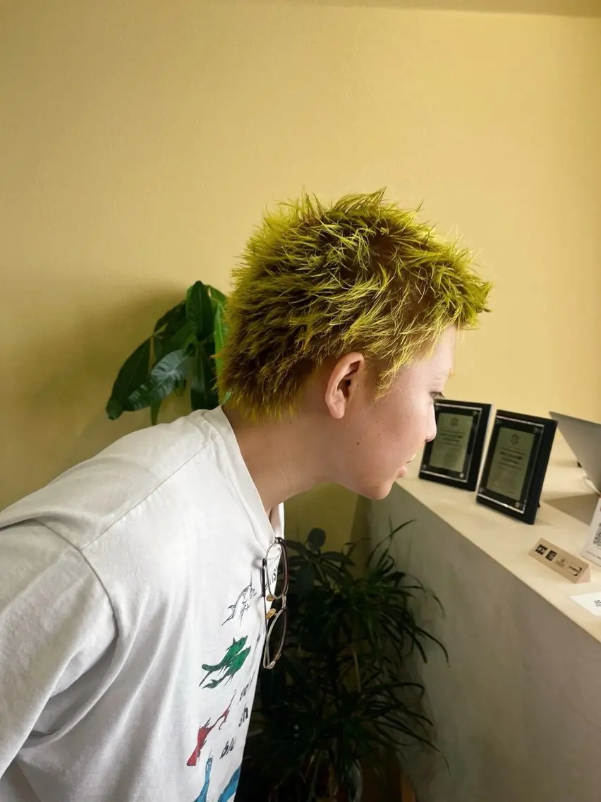 ショート カット ヘアカラー 艶カラー🌿 /ふっこのヘアスタイル