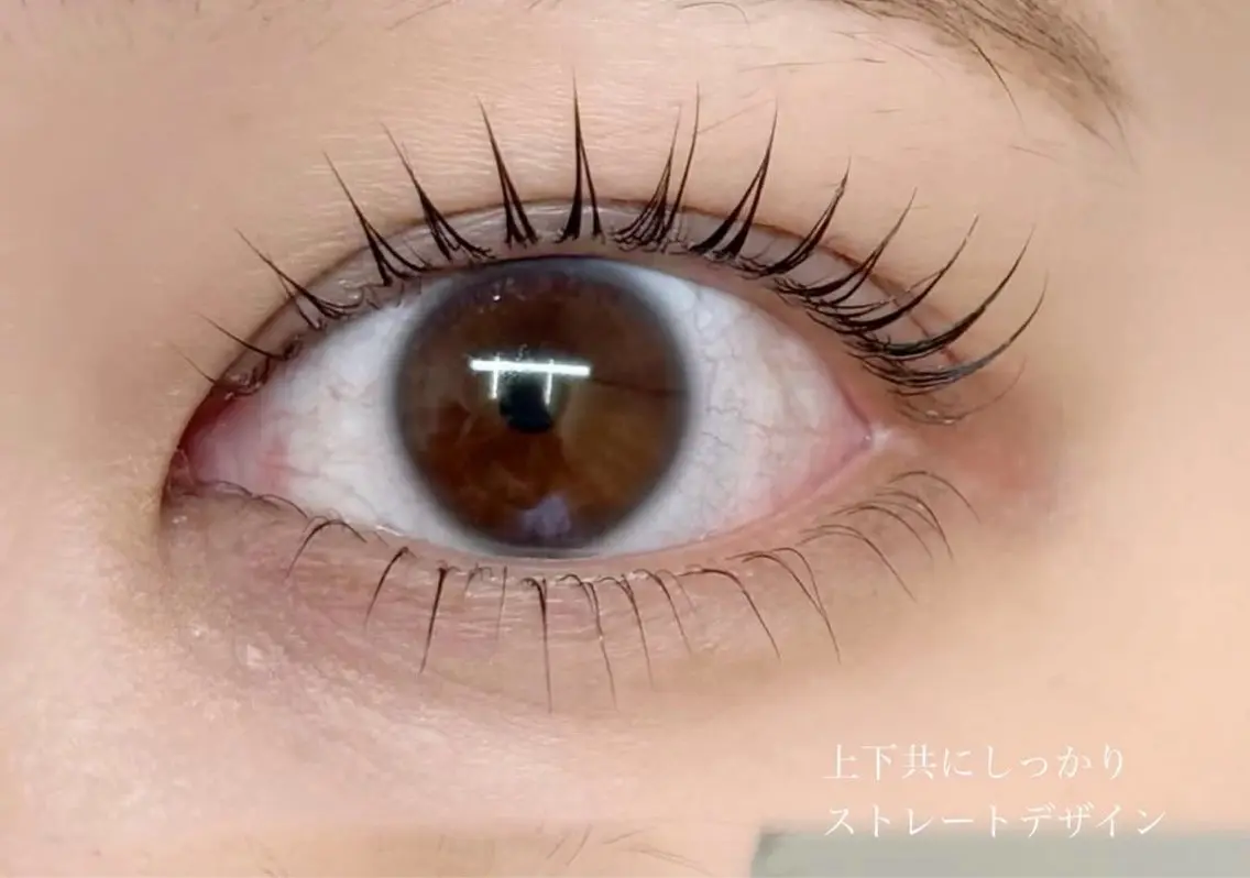 LASHLIFT (下)の写真