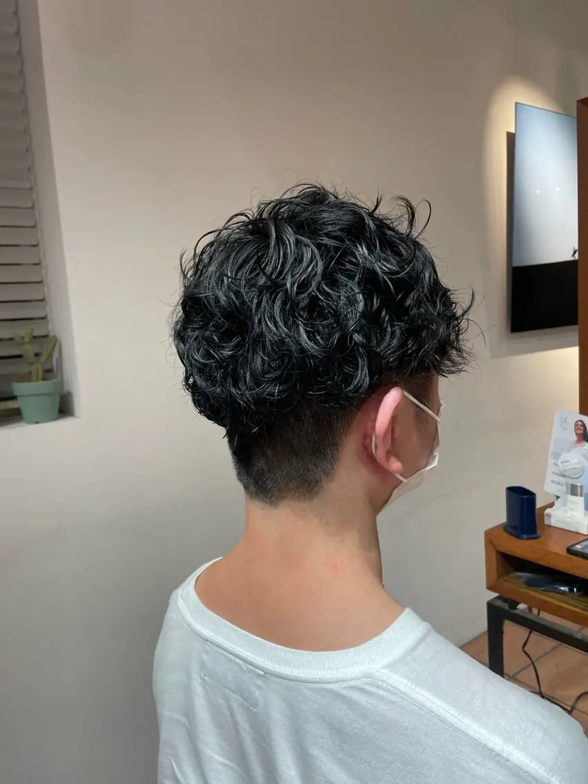 パーマ メンズ メンズパーマ プードルパーマ プードルパーマ mist🌿 🌿のヘアスタイル