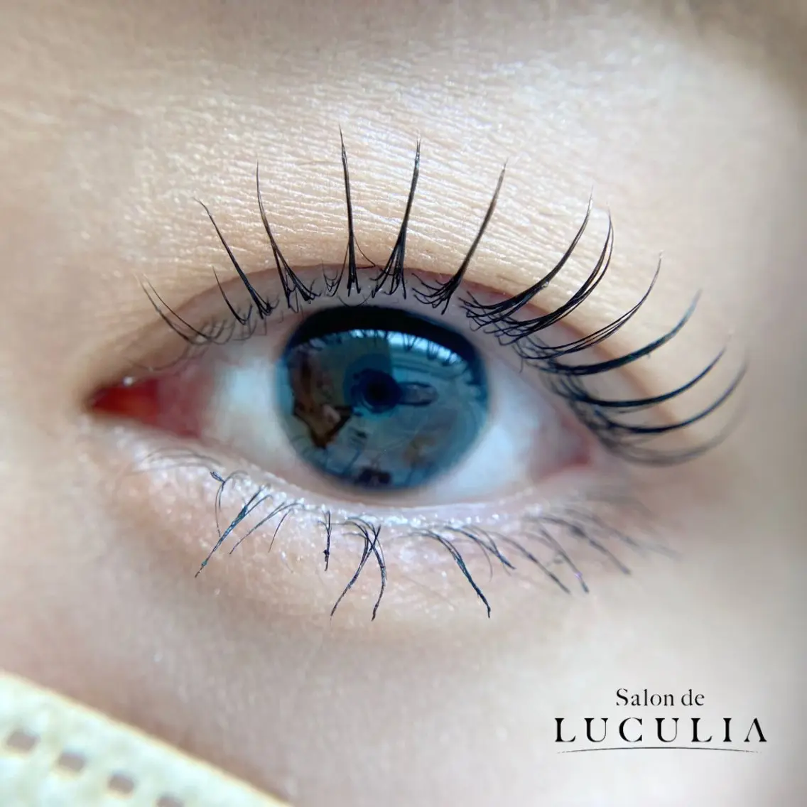 マツエク・マツパ eyelash MEGUのマツエク・マツパデザイン