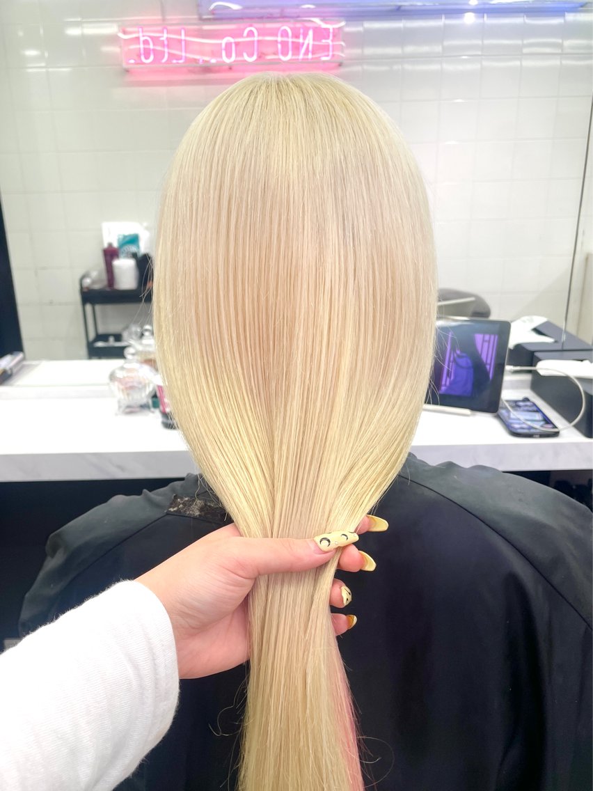 ロング カラー ヘアカラー 🩶ハイトーン × プルエク🩶MIWAのヘアスタイル