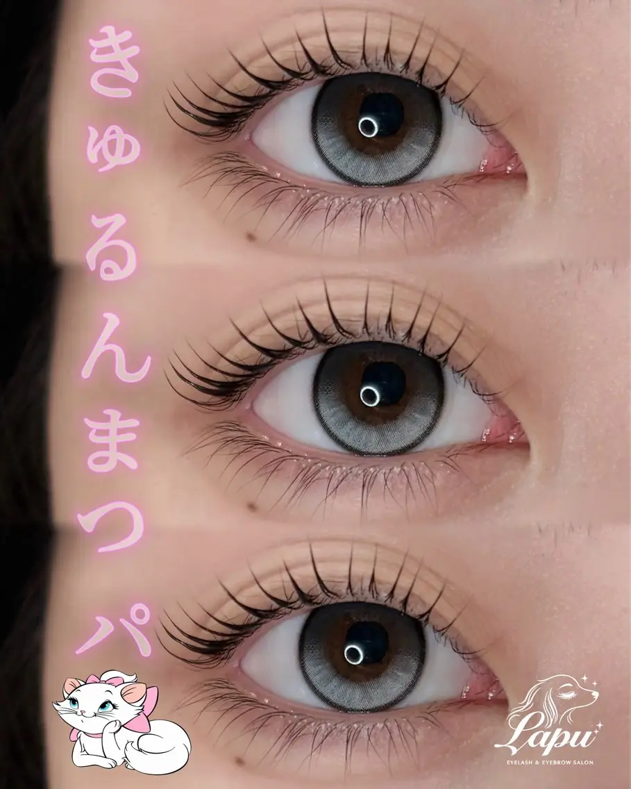 マツエク・マツパ 🎀韓国風まつ毛 ＆眉毛 Lapu🎀の眉毛・アイブロウイメージ