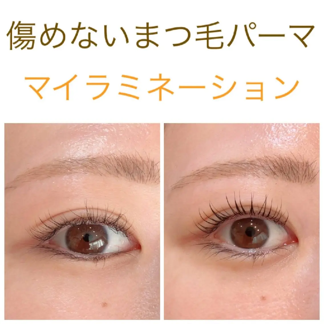 😊とことんまつ毛をケア✨マイラミネーション✨太く濃くするパーマ✨傷んだまつ毛にハリ・ツヤ補修💮の写真