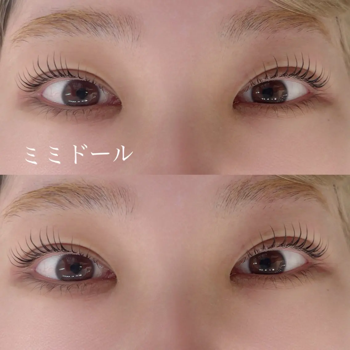 マツエク・マツパ 束感まつ毛 韓国風マツエク マツパ マリーテレジア FUJIMOTOの眉毛・アイブロウイメージ
