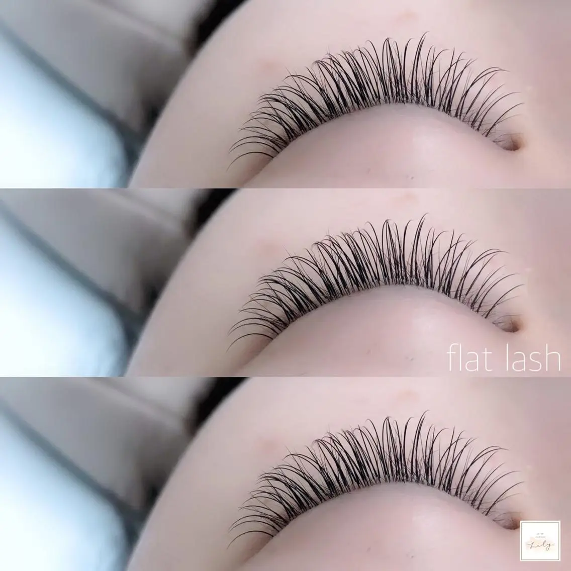 Wフラットラッシュ👀120束の写真